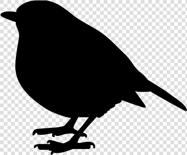 Christmas Silhouette Robin   Png Download   Transparent Robin Silhouette  Png DownloadTransparent PNG
