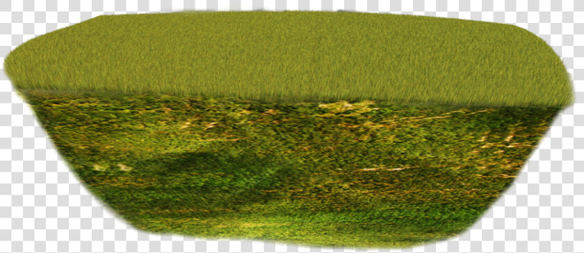 Thumb Image   Hedge  HD Png DownloadTransparent PNG