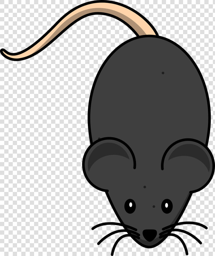 Thumb Image   Mouse Clip Art  HD Png DownloadTransparent PNG