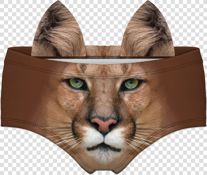 Womens Underwear 3d Printing Tiger Pattern Briefs   Puma Eye Close Up  HD Png DownloadTransparent PNG