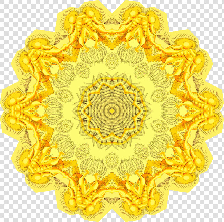 Circle material flower   Казахский Голубые Орнамент  HD Png DownloadTransparent PNG