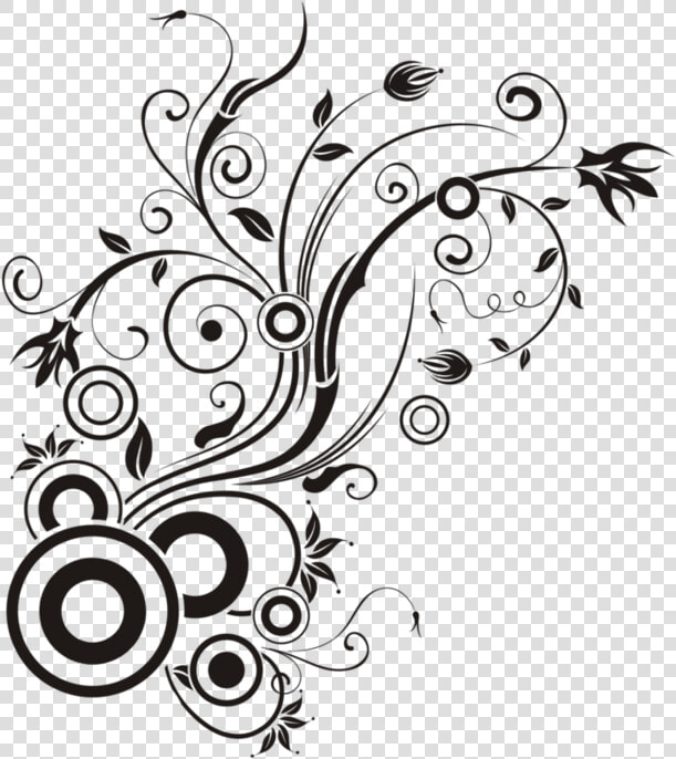Portable Photography Vector Graphics Stock Curlicue   Portable Network Graphics  HD Png DownloadTransparent PNG