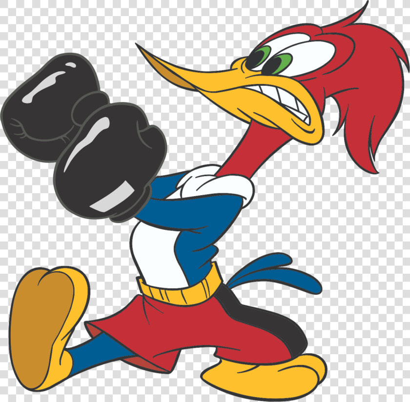 Transparent Woodpecker Png   Cartoon Pictures Of Woody Woodpecker  Png DownloadTransparent PNG