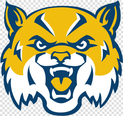 Star Spencer High Homepage   Star Spencer High School Logo  HD Png DownloadTransparent PNG