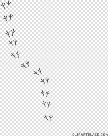 Turkey Footprint Clipart Svg Library Stock Chicken   Animal Footprints  HD Png DownloadTransparent PNG