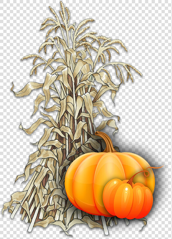 Pumpkin   Png Download   Corn Stalk Pumpkin  Transparent PngTransparent PNG