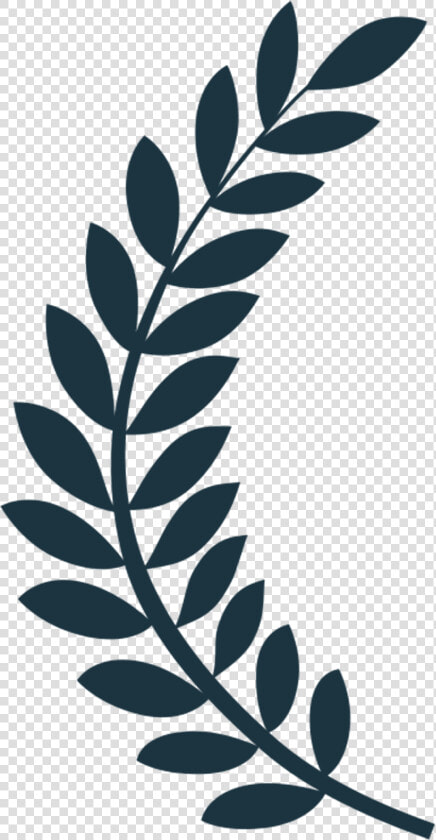 Transparent Award Leaves Png   Film Festival Laurels Vector  Png DownloadTransparent PNG
