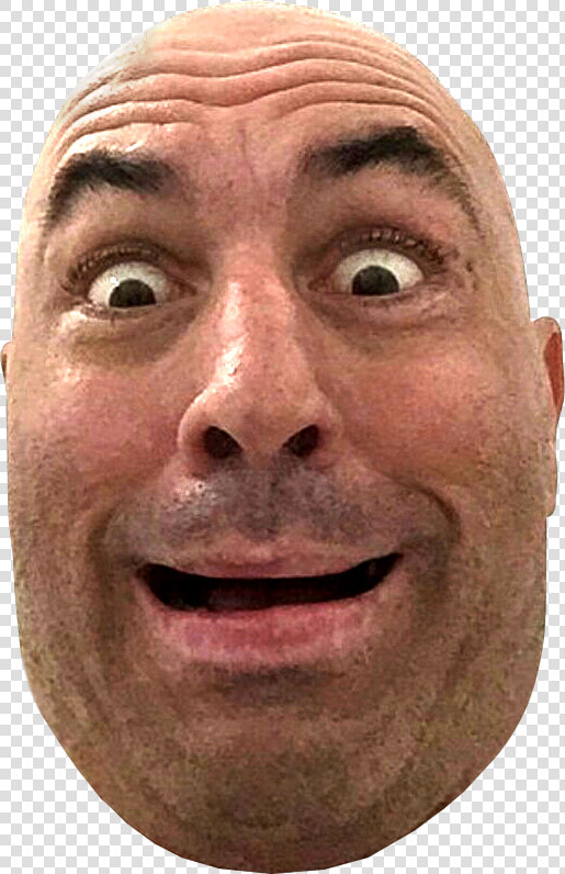  ​img    Joe Rogan Png  Transparent PngTransparent PNG