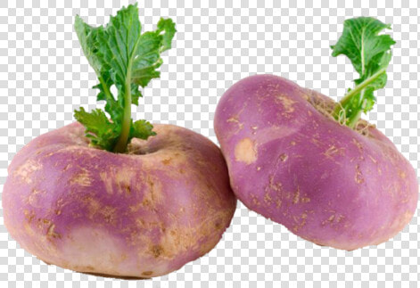 Turnip Png  Transparent PngTransparent PNG