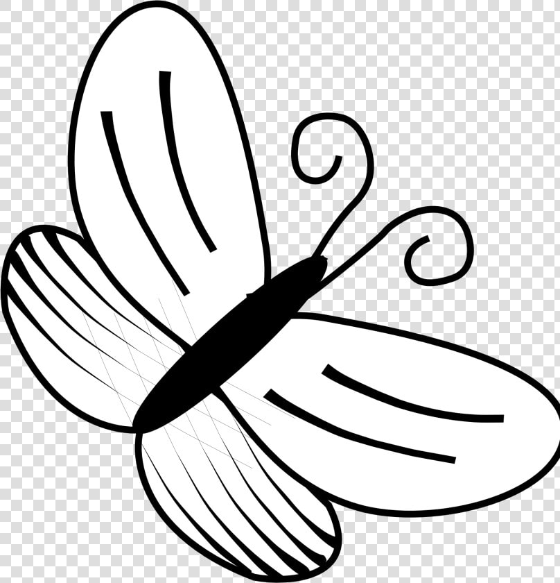 White Snake Black Free Download Clipart   Butterflies Clipart Black And White  HD Png DownloadTransparent PNG