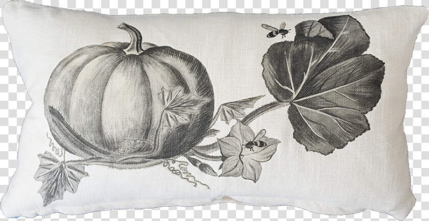 Black And White Pumpkin With Bee   Pumpkin  HD Png DownloadTransparent PNG