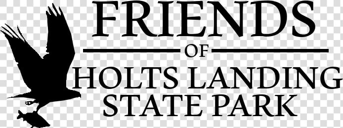 Friends Of Holts Landing State Park Logo   Pigeons And Doves  HD Png DownloadTransparent PNG