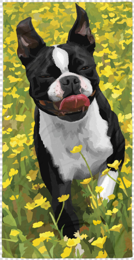 Abigail The Boston Terrier   Boston Terrier Easter  HD Png DownloadTransparent PNG