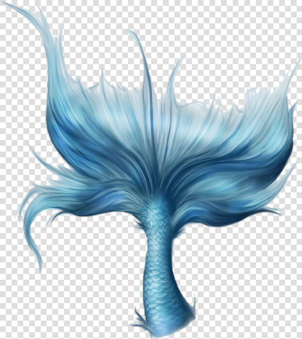 Transparent Sirena Png   Blue Mermaid Tail Png  Png DownloadTransparent PNG