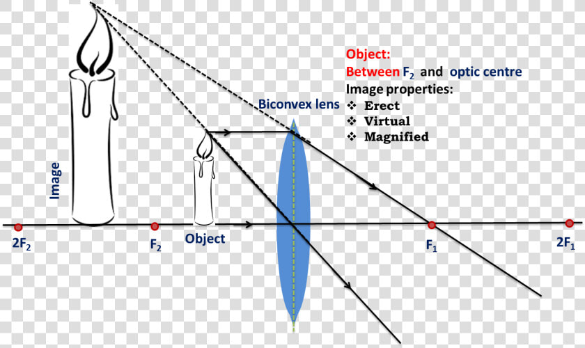 Object Between Focal Point And Optical Centre   Optical Centre Of Lens  HD Png DownloadTransparent PNG