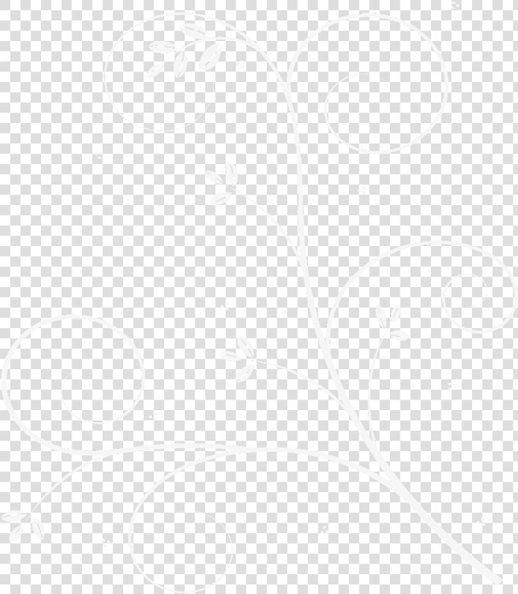  flourish  white   Sketch  HD Png DownloadTransparent PNG