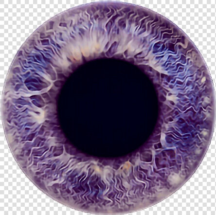  eye  eyecolor  purple  violet  lavender  color  iris   Violet Eyes Transparent Background  HD Png DownloadTransparent PNG