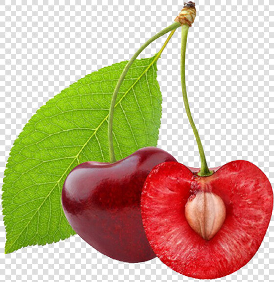 Cherry Png   Cherry Fruit Cut In Half  Transparent PngTransparent PNG