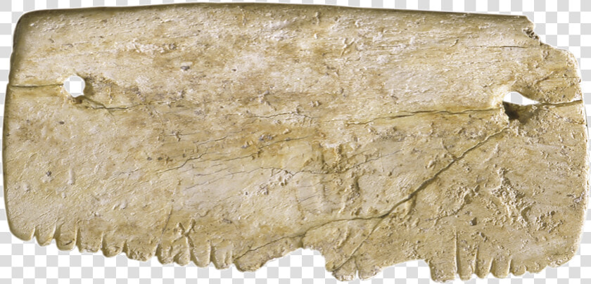 Peines De Hueso Antiguos  HD Png DownloadTransparent PNG
