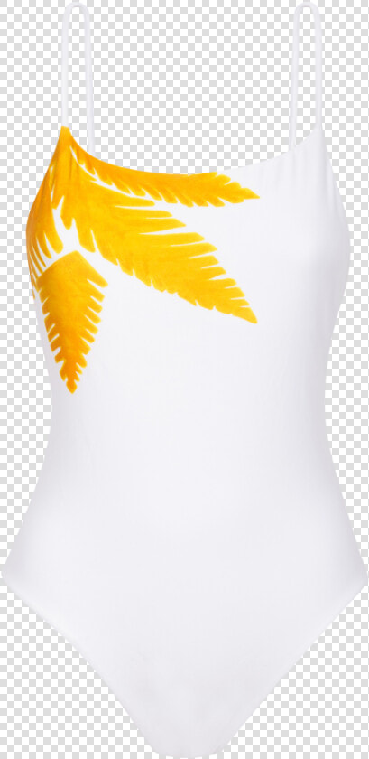 One Piece Swimsuit Cheeky Bottom Tamarindo Rosie One   Maillot  HD Png DownloadTransparent PNG