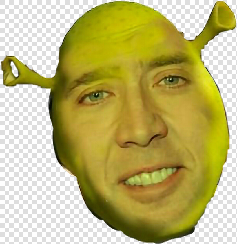 Shrek Face Png   Nicolas Cage  Transparent PngTransparent PNG