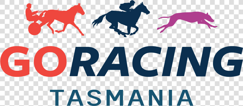 Go Racing Tasmania Width  HD Png DownloadTransparent PNG