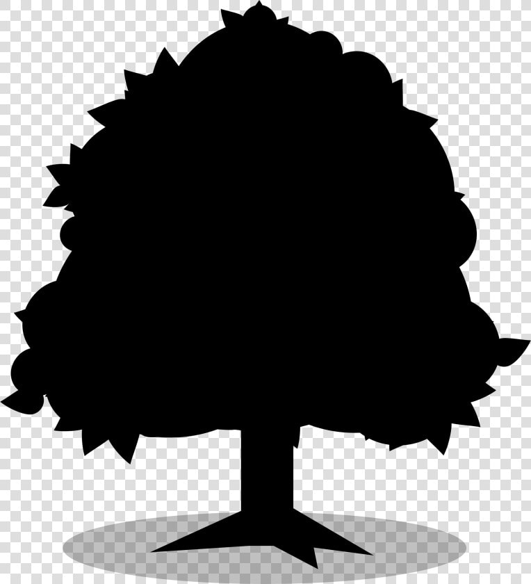 Fruit Tree Clip Art Branch Eastern Redbud   Miche Track Crankset  HD Png DownloadTransparent PNG
