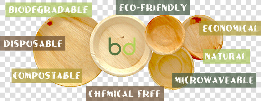 Pics 02   Plywood  HD Png DownloadTransparent PNG
