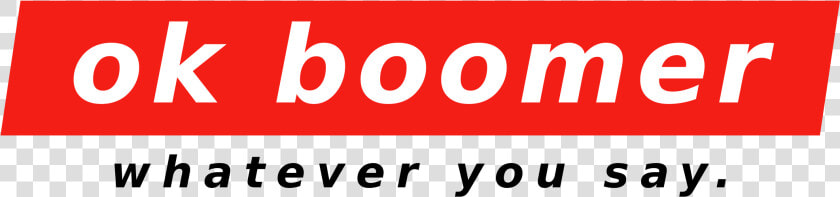 Ok Boomer What Ever You Say   The Flying Saucer Cafe  HD Png DownloadTransparent PNG