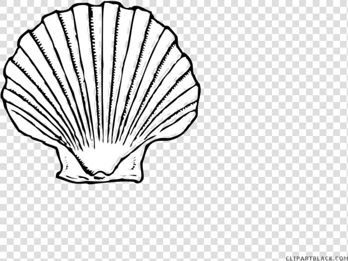 Black And White Seashell Animal Free Black White Clipart   Seashell Black And White  HD Png DownloadTransparent PNG
