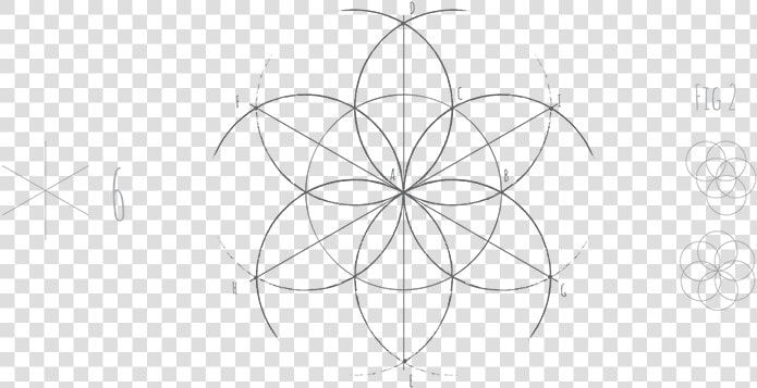 How To Draw A Human Face Using Simple Geometry Fig   Line Art  HD Png DownloadTransparent PNG
