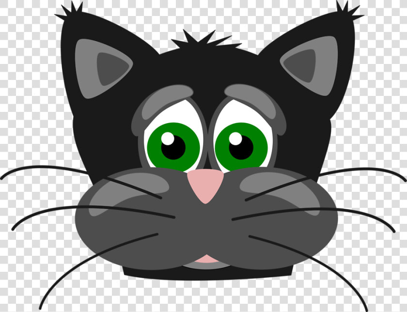 Funny Cat Png   Angry Cat Face Cartoon  Transparent PngTransparent PNG