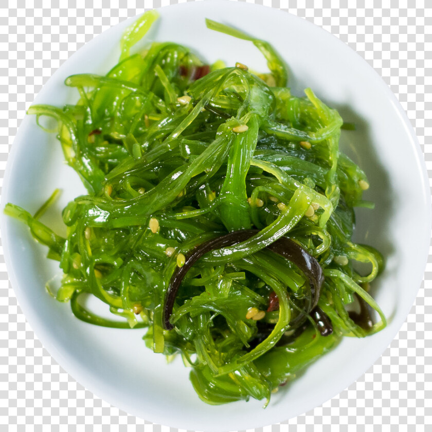 Dsc 0009   Spring Greens  HD Png DownloadTransparent PNG