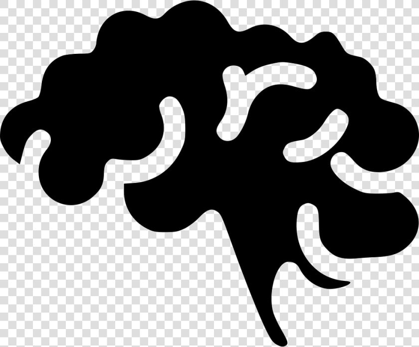 Brain Neuroscience Brainstroming Mind Medical Neurology   Neurology  HD Png DownloadTransparent PNG
