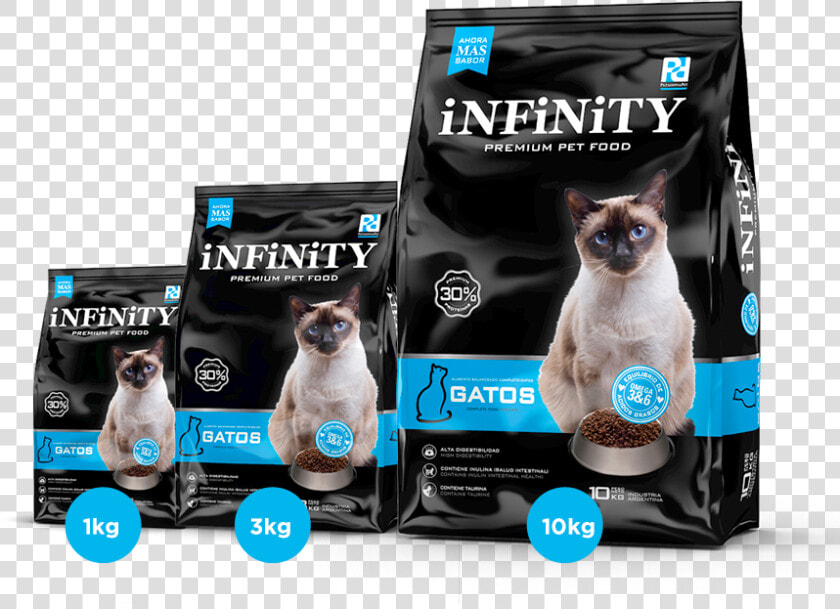 Transparent Gatos Png  Png DownloadTransparent PNG