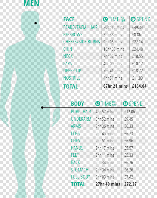 Average Body Hair On Men  HD Png DownloadTransparent PNG