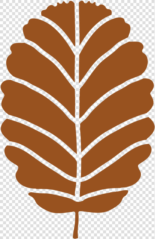 Transparent Hoja Png   Portable Network Graphics  Png DownloadTransparent PNG