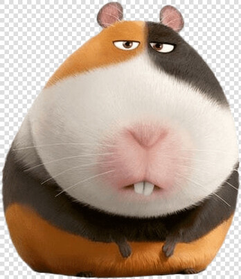 The Secret Life Of Pets Png Image   Norman The Secret Life Of Pets 2  Transparent PngTransparent PNG