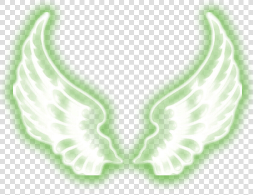 Angel Wings Png Picsart   Transparent Neon Wings Png  Png DownloadTransparent PNG