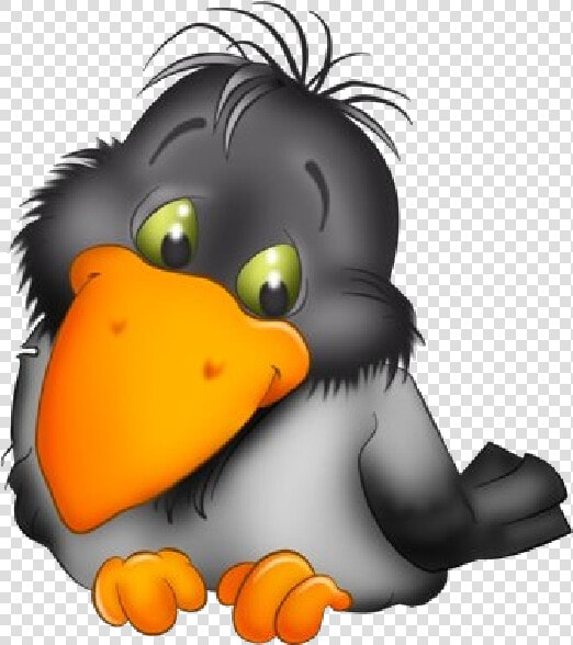 Toucan Cartoon Images Are   Cute Crow Clipart  HD Png DownloadTransparent PNG