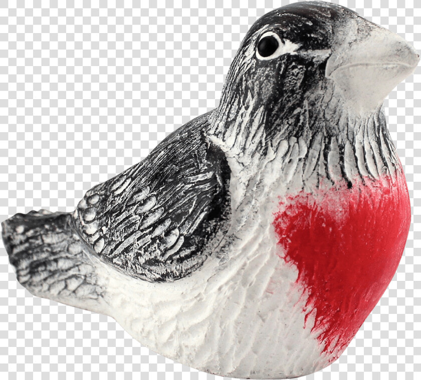 Rose Breasted Grosbeak  HD Png DownloadTransparent PNG