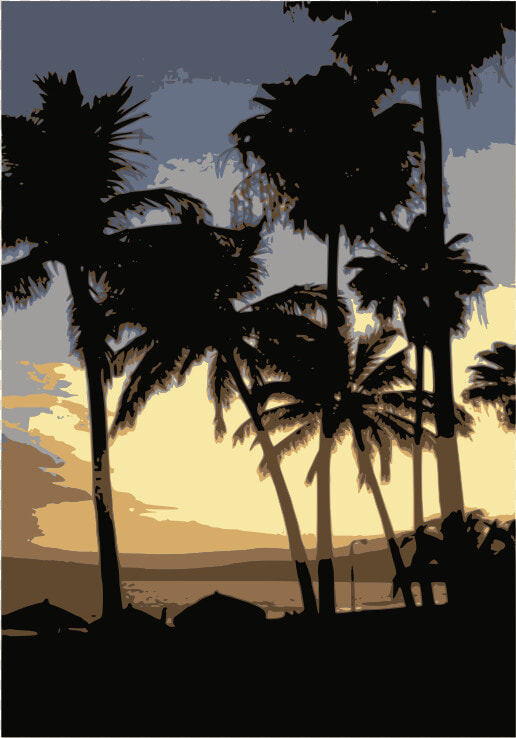 Palmeras   Attalea Speciosa  HD Png DownloadTransparent PNG