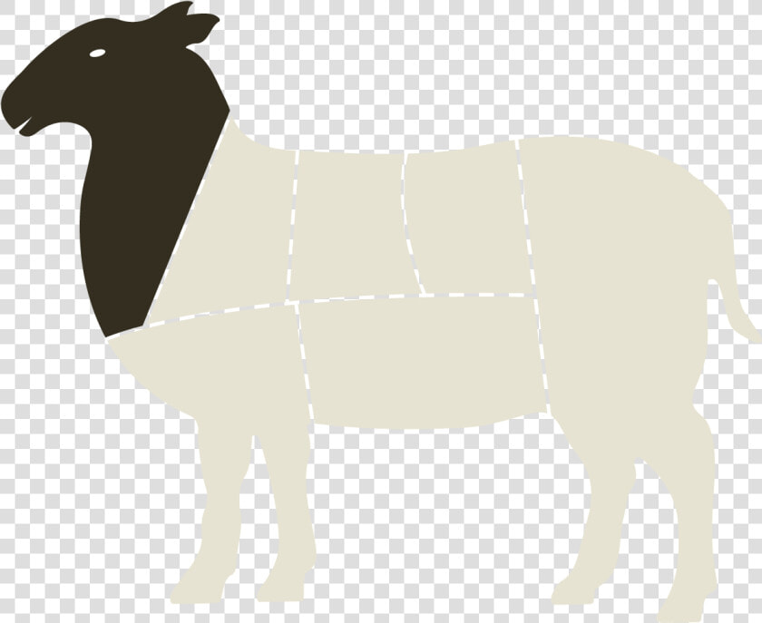 Sheep Horse Cattle Mammal Camel   Horse  HD Png DownloadTransparent PNG