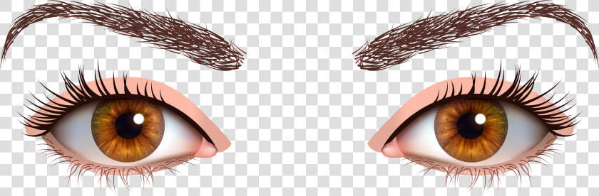 Transparent Brown Eye Png   Transparent Background Brown Eyes Png  Png DownloadTransparent PNG