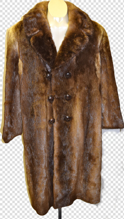 Otter Fur Coat  HD Png DownloadTransparent PNG