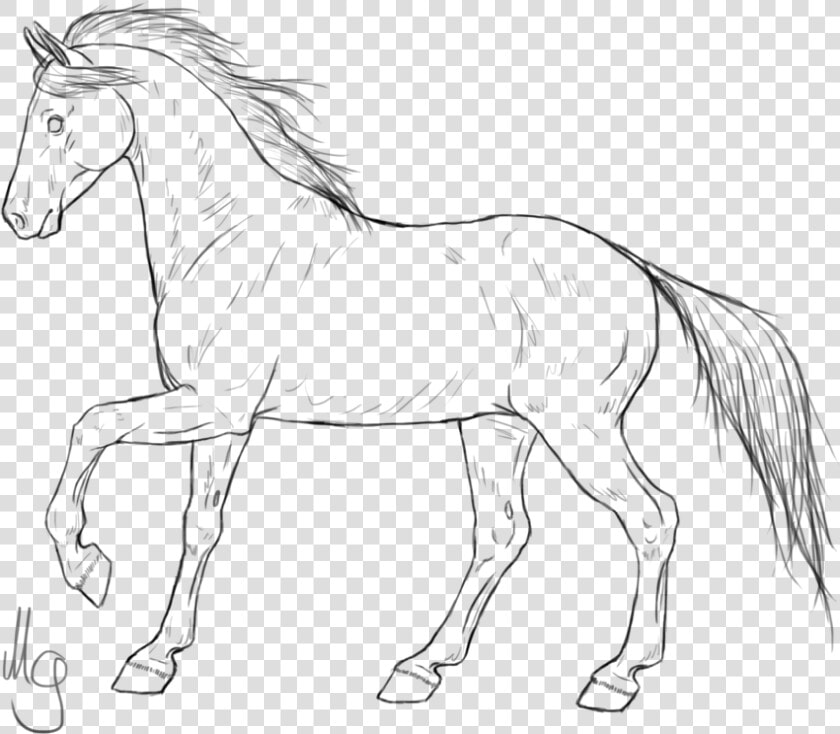 Mustang Horses Pony Line Art American Quarter Horse   Horse Png Line Art  Transparent PngTransparent PNG