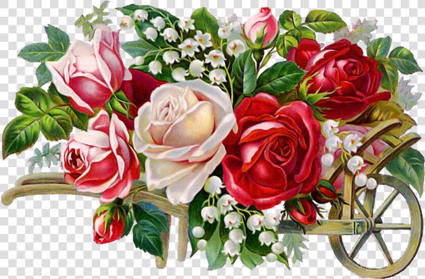 Оля С Днем Рождения Гиф  HD Png DownloadTransparent PNG