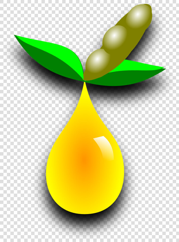 Soybeans Png  Transparent PngTransparent PNG