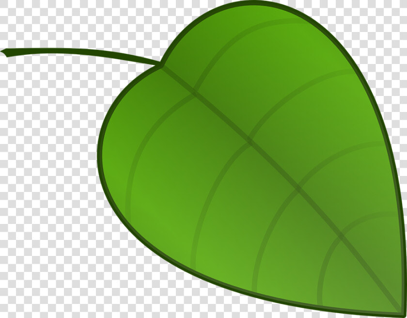 Leaf  Nature  Nerves  Veins  Green   Leaf Clipart Small  HD Png DownloadTransparent PNG