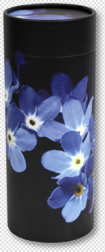 Forget Me Not   Viola  HD Png DownloadTransparent PNG